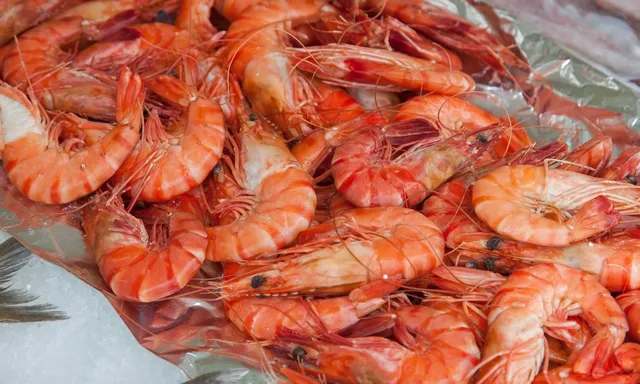 Shrimps