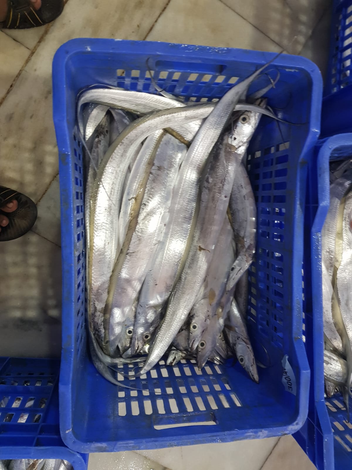 Fish Packing