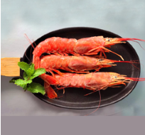 PRAWNS