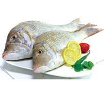 FISH